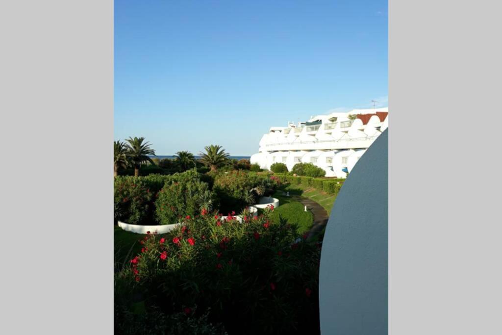 Le Cocon De Flo, Studio Face A La Mer Au Couchant La Grande-Motte Exterior foto