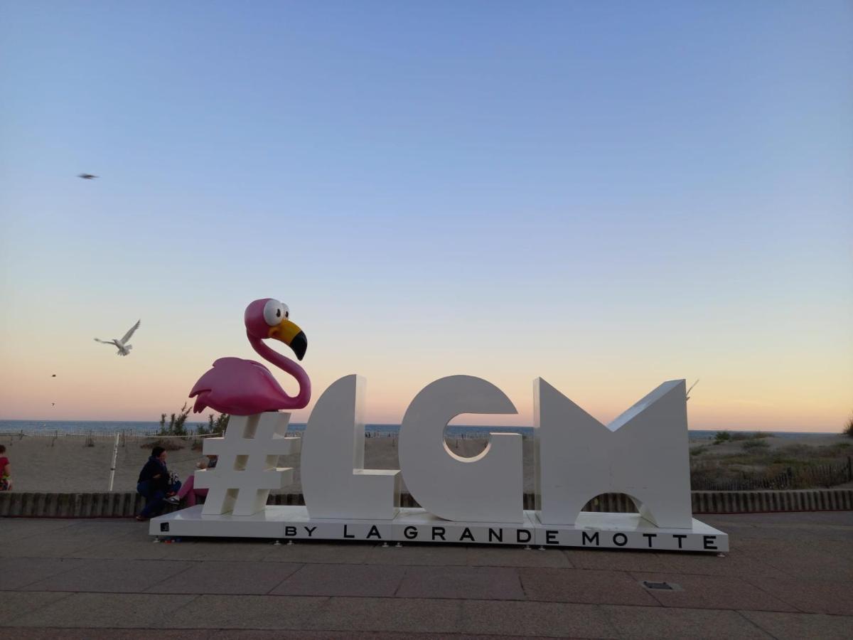 Le Cocon De Flo, Studio Face A La Mer Au Couchant La Grande-Motte Exterior foto