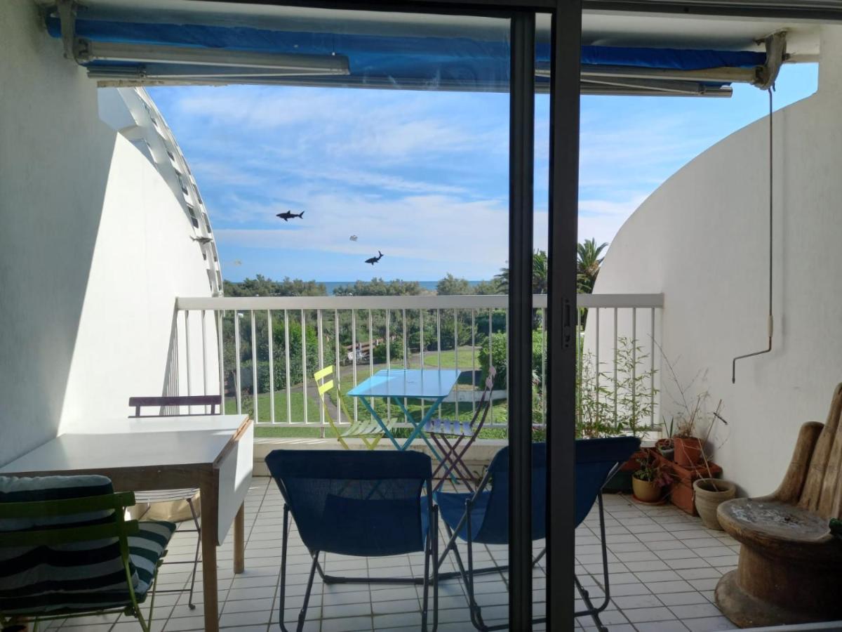 Le Cocon De Flo, Studio Face A La Mer Au Couchant La Grande-Motte Exterior foto